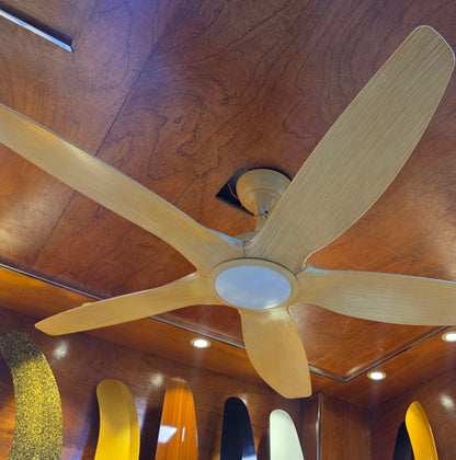60" Inch Luxury Abs Remote Control Ceiling Fan