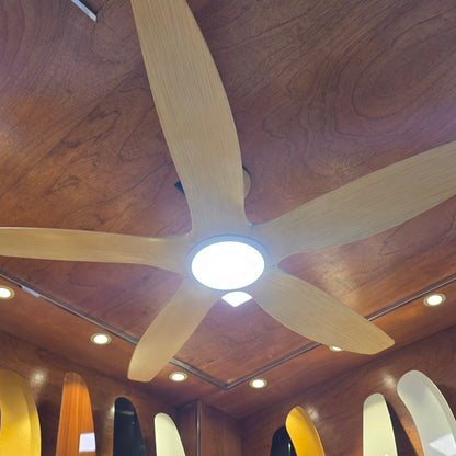 60" Inch Luxury Abs Remote Control Ceiling Fan