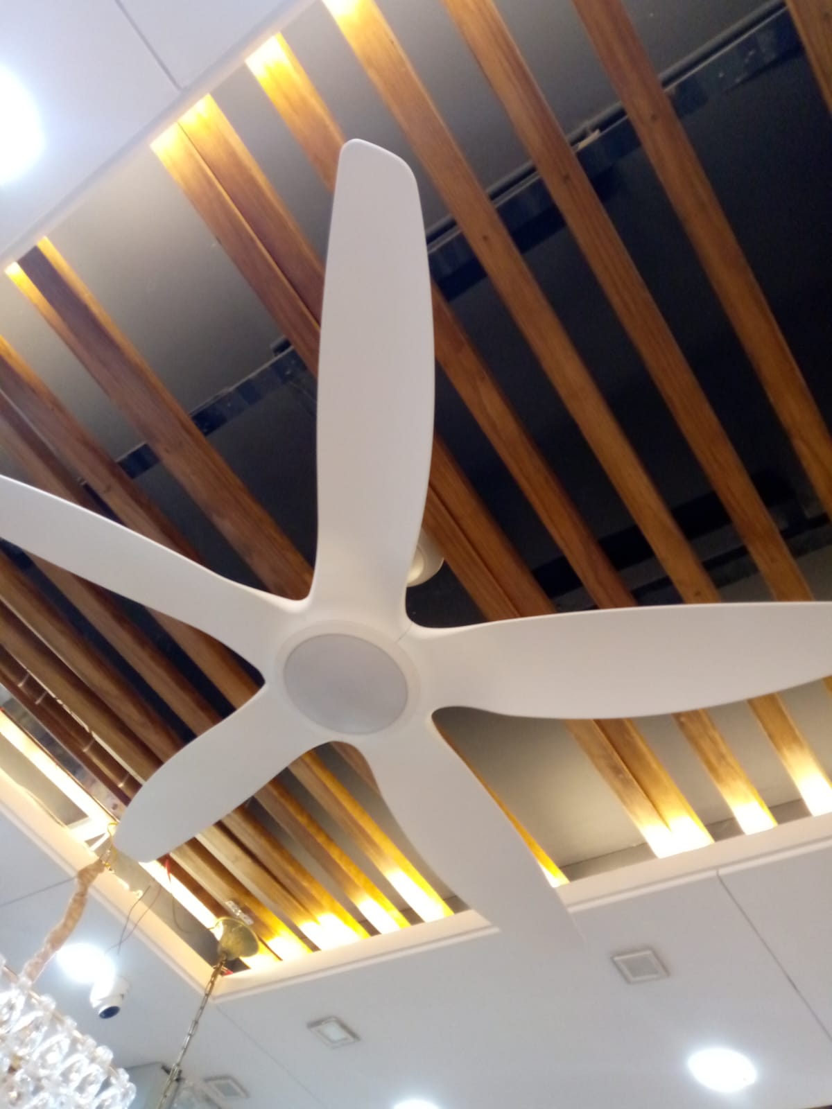 60" Abs 5 Blades Luxury Ceiling fan