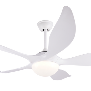 Ceiling fan