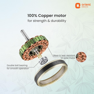 Orient 48 Inch Mozart Ceiling Fan