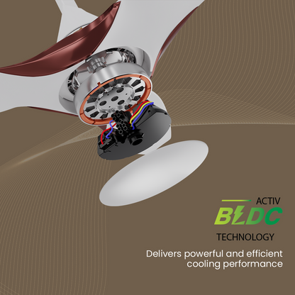 SilentPro Enso BLDC Ceiling Fans