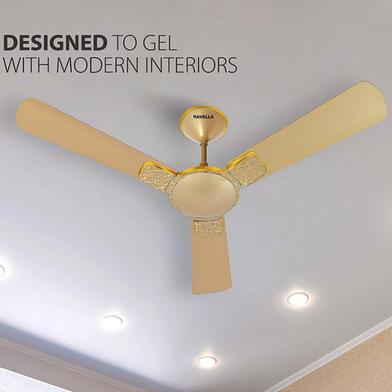 Havells 56 inch Enticer Hues - Gold