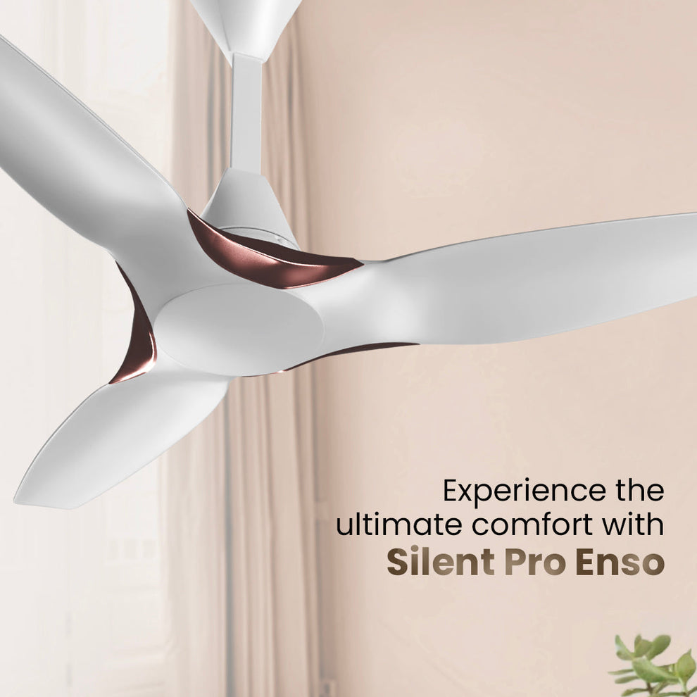 SilentPro Enso BLDC Ceiling Fans