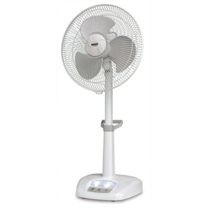 Sunca 2389r