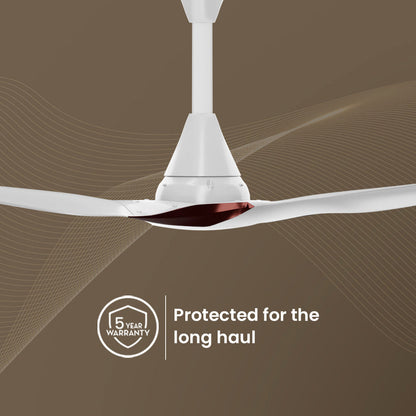 SilentPro Enso BLDC Ceiling Fans